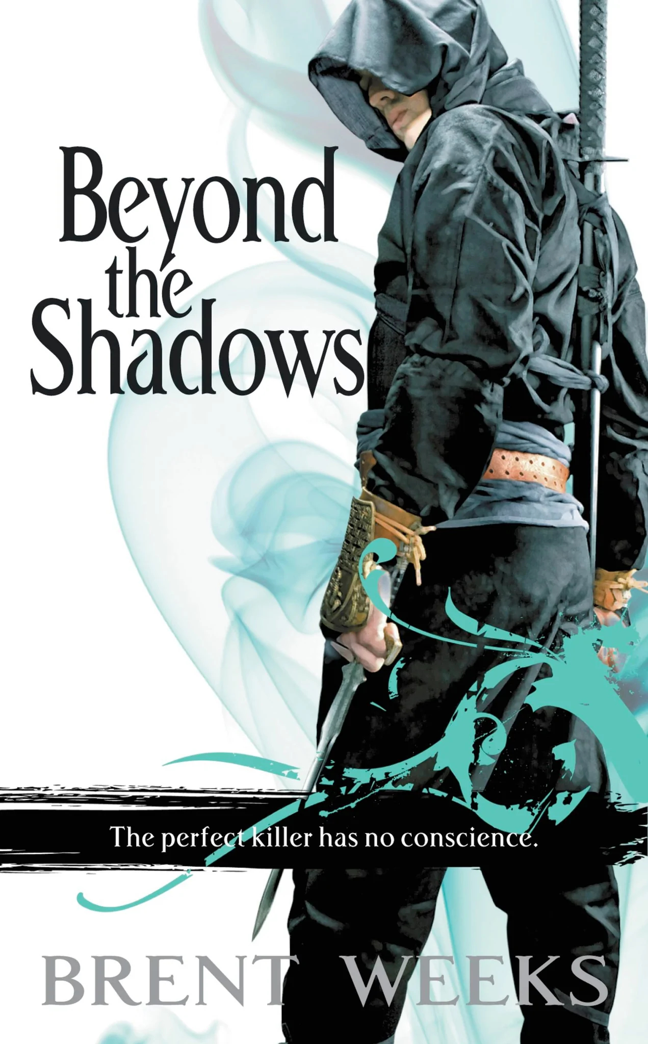 Beyond the Shadows #3 PDF Download