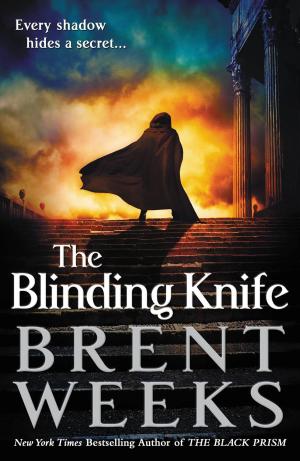 The Blinding Knife #2 PDF Download