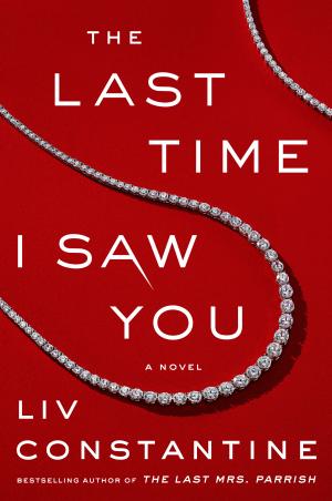 The Last Time I Saw You PDF Download