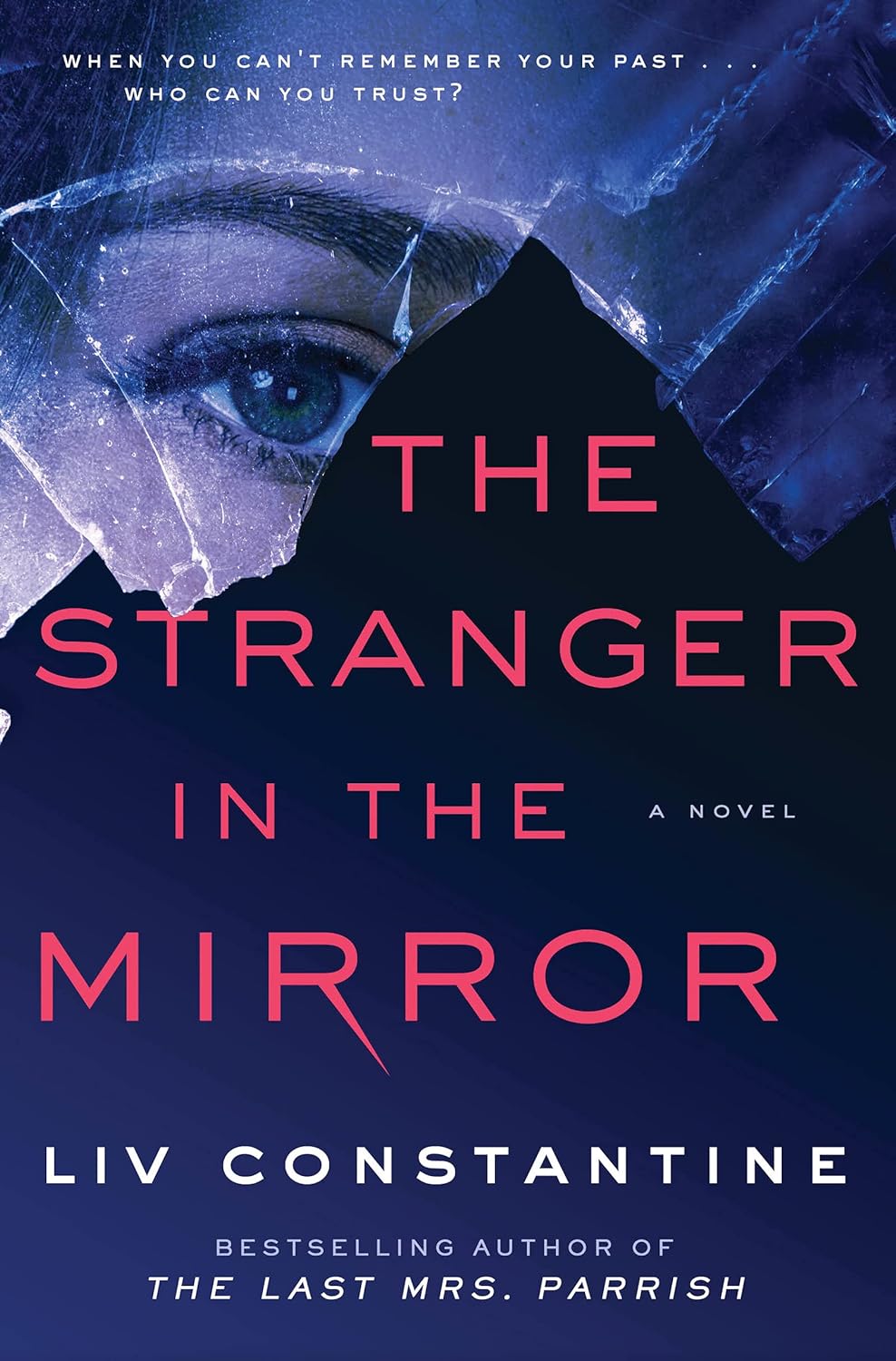 The Stranger in the Mirror PDF Download