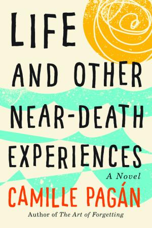 Life and Other Near-death Experiences