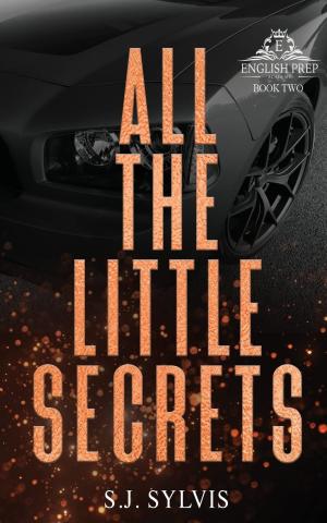 All the Little Secrets (English Prep #2) PDF Download