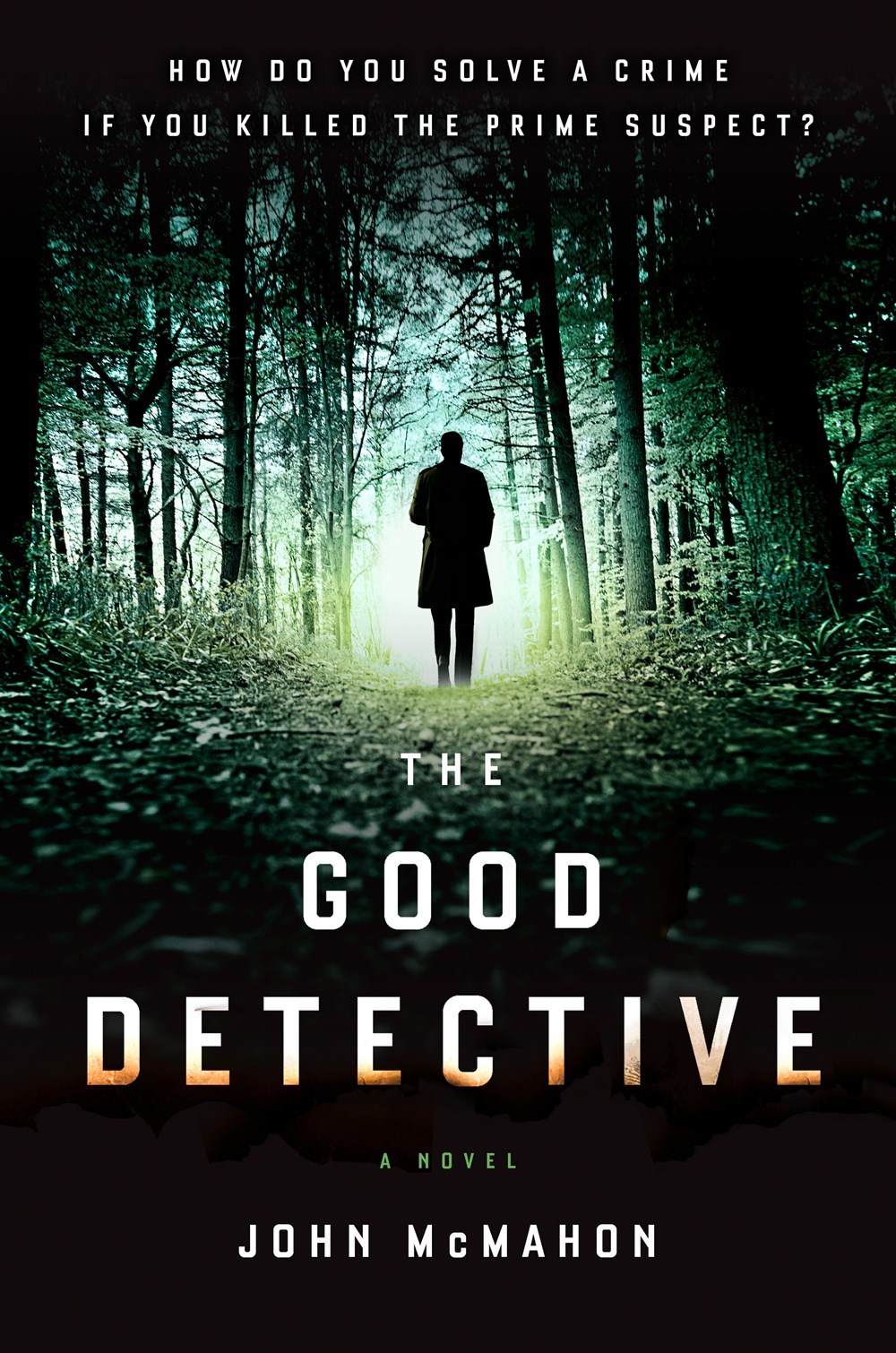 The Good Detective #1 PDF Download