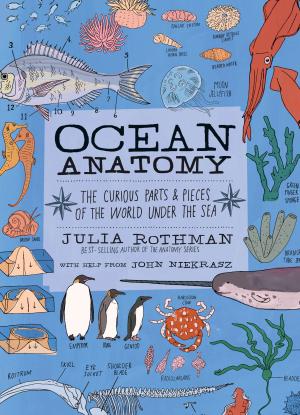 Ocean Anatomy by Julia Rothman PDF Download