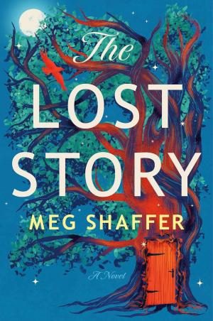 The Lost Story by Meg Shaffer PDF Download