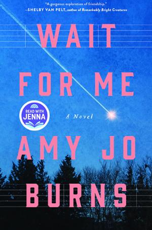Wait for Me by Amy Jo Burns PDF Download