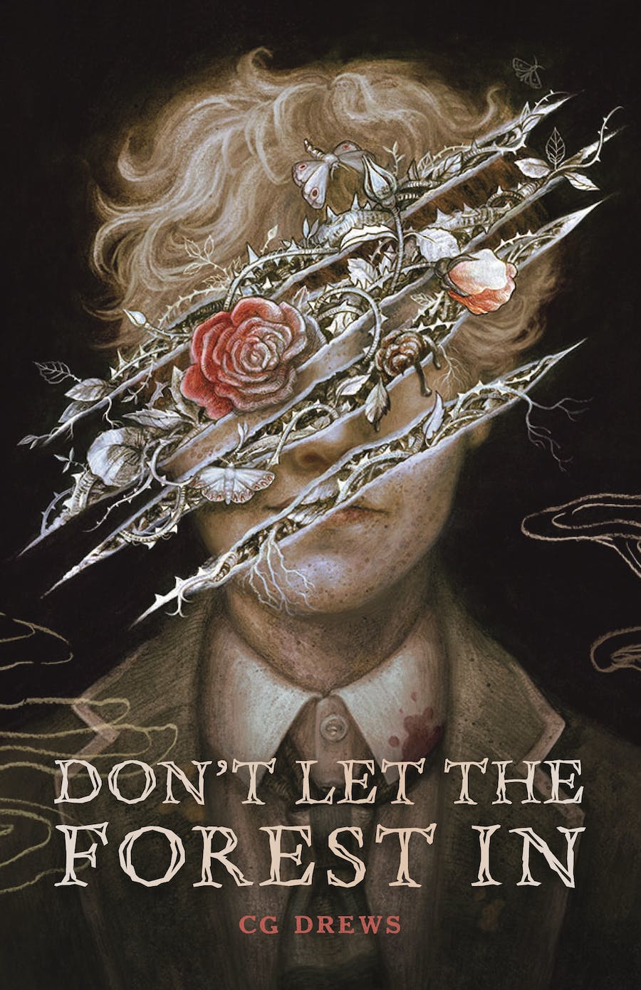 Don't Let the Forest In PDF Download