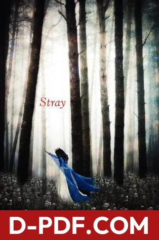 Stray by Elissa Sussman book cover