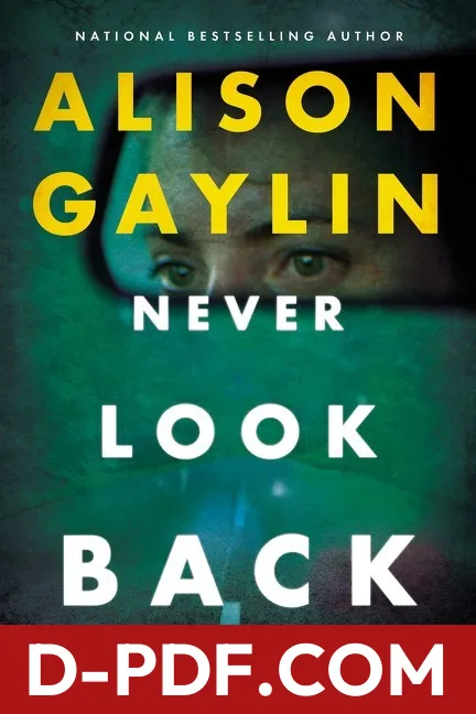 Never Look Back by Alison Gaylin book cover