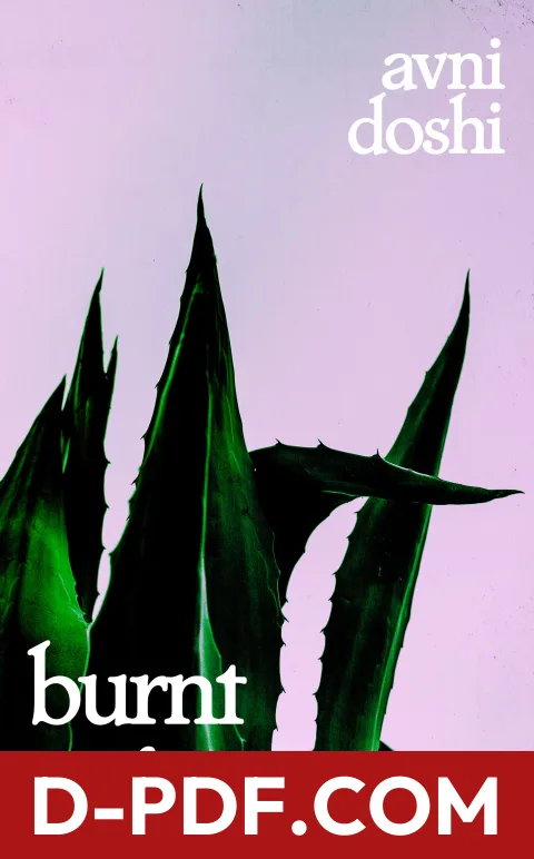 Burnt Sugar by Avni Doshi book cover