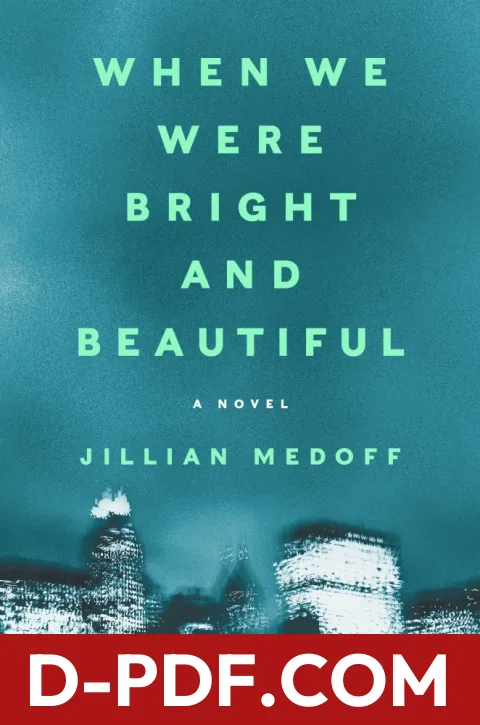 When We Were Bright And Beautiful by Jillian Medoff book cover