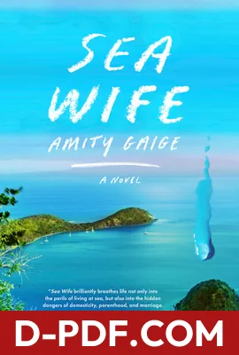 Sea Wife by Amity Gaige book cover