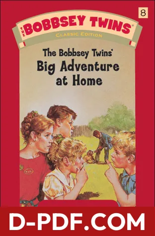 The Bobbsey Twins' Big Adventure at Home by Laura Lee Hope book cover