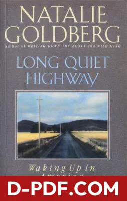 Long Quiet Highway: Waking Up in America by Natalie Goldberg book cover