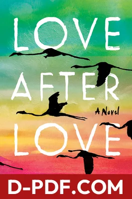 Love After Love by Ingrid Persaud book cover