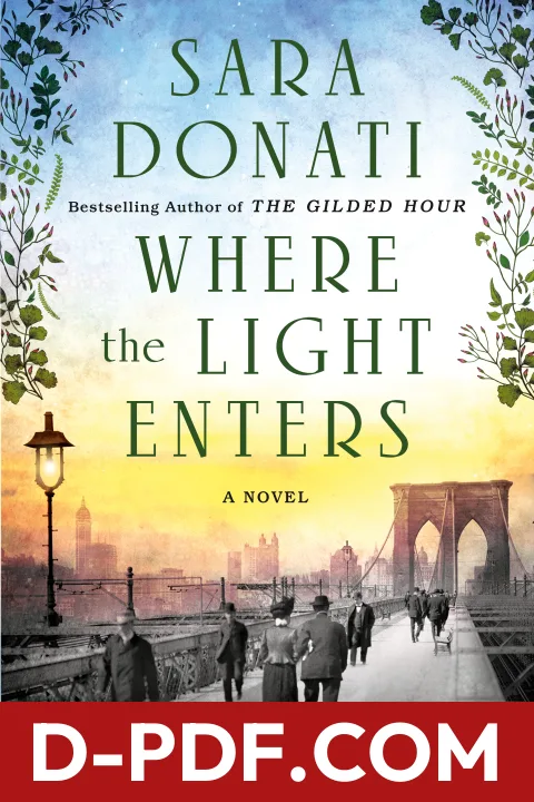 Where the Light Enters by Sara Donati book cover