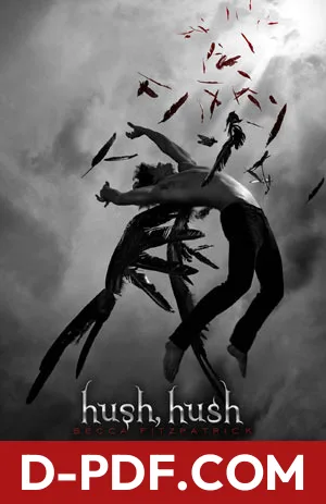 Hush, Hush by Becca Fitzpatrick book cover