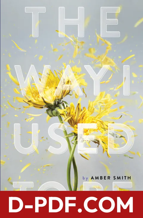 The Way I Used to Be by Amber Smith book cover