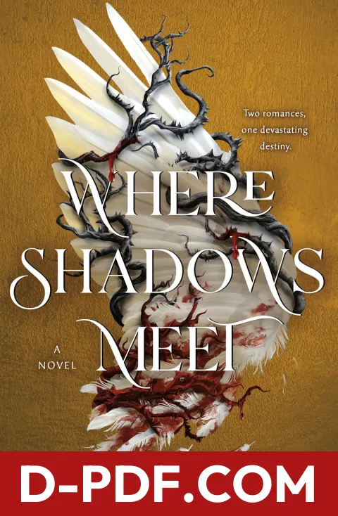 Where Shadows Meet by Patrice Caldwell book cover