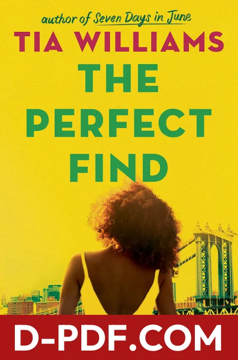 The Perfect Find by Tia Williams book cover