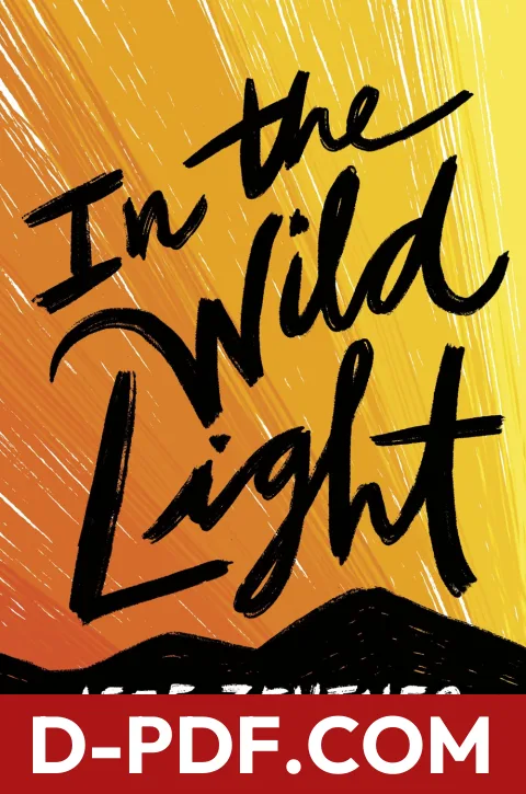 In the Wild Light by Jeff Zentner book cover