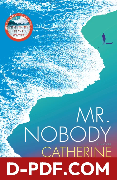 Mr. Nobody by Catherine Steadman book cover