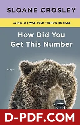 How Did You Get This Number: Essays by Sloane Crosley book cover