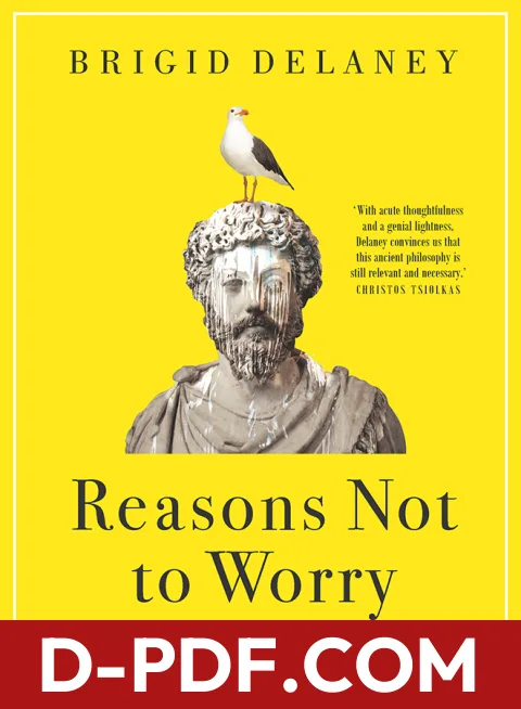 Reasons Not to Worry: How to Be Stoic in Chaotic Times by Brigid Delaney book cover