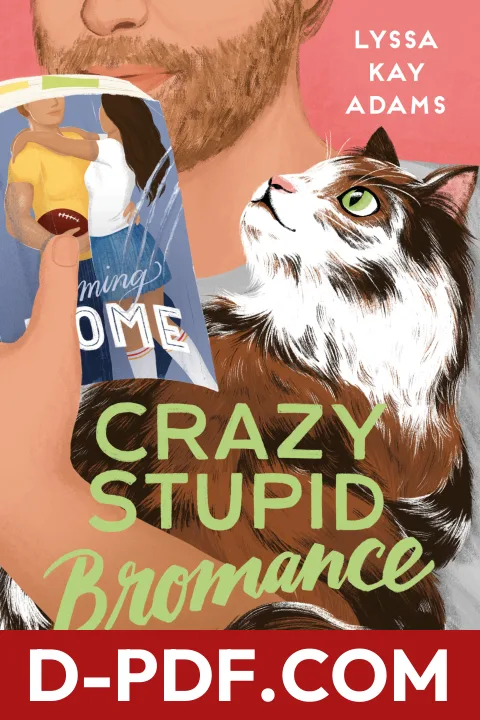 Crazy Stupid Bromance by Lyssa Kay Adams book cover