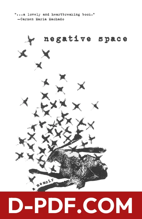Negative Space by Lilly Dancyger book cover