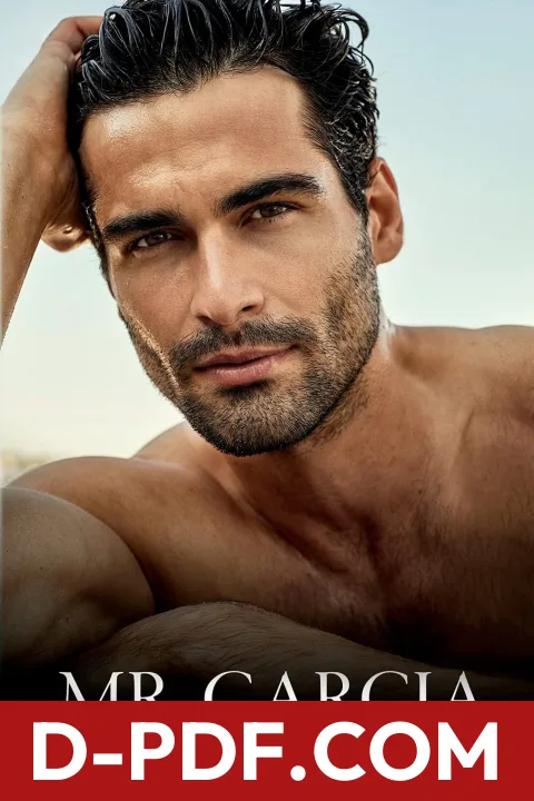 Mr Garcia by T.L. Swan book cover
