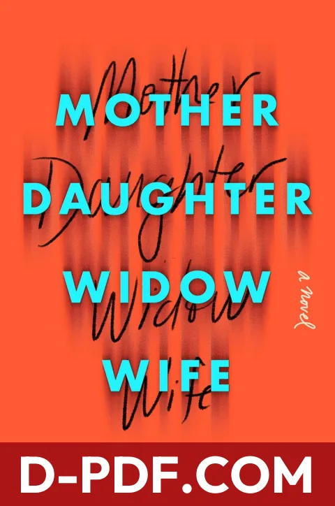 Mother Daughter Widow Wife by Robin Wasserman book cover