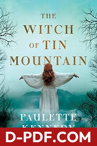 Witch of Tin Mountain by Paulette Kennedy book cover