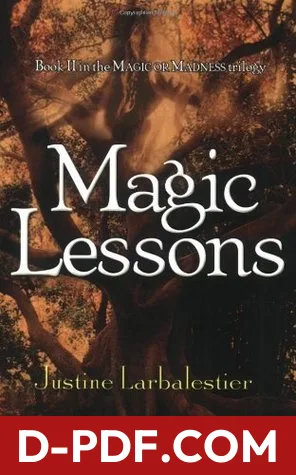 Magic Lessons by Justine Larbalestier book cover