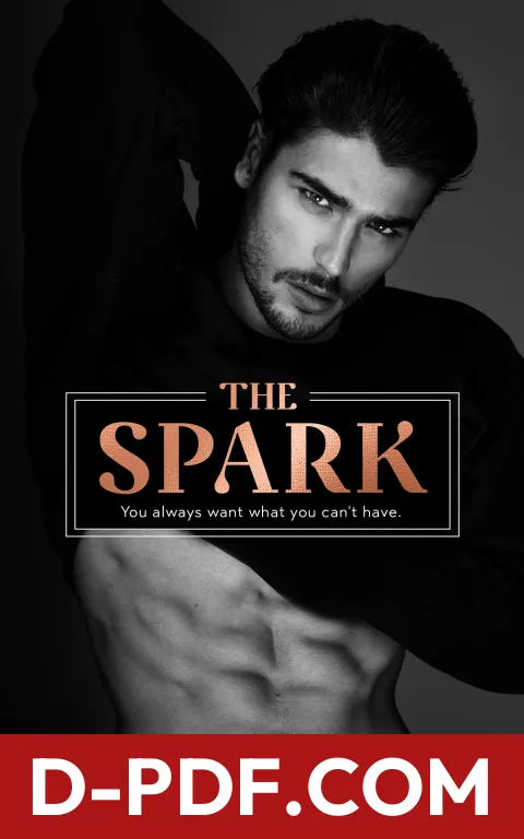 The Spark by Vi Keeland book cover
