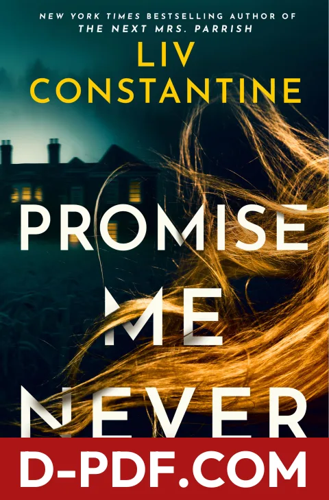 Promise Me Never by Liv Constantine book cover