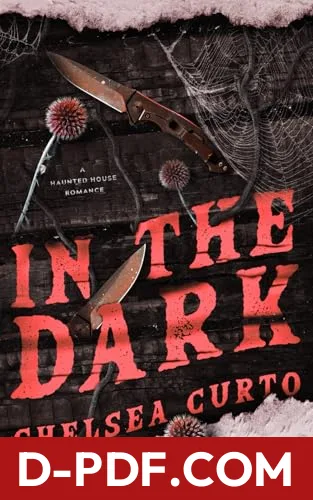 In The Dark by Chelsea Curto book cover
