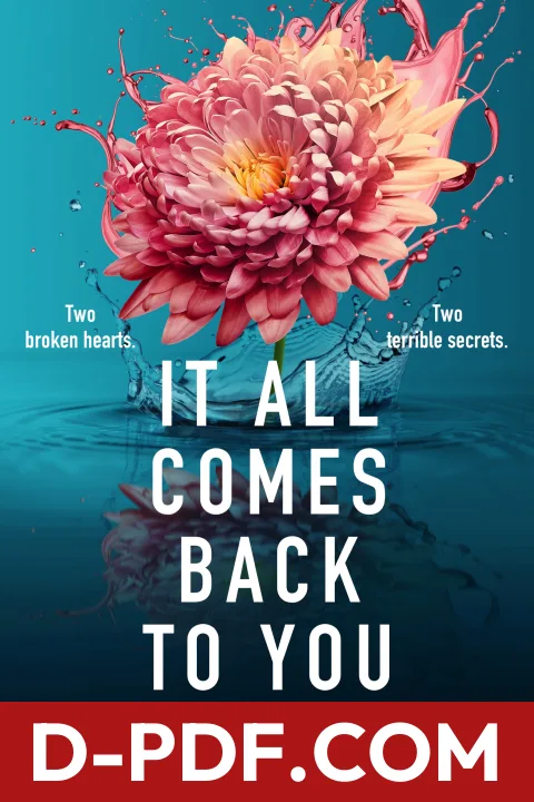 It All Comes Back to You by Melissa Wiesner book cover