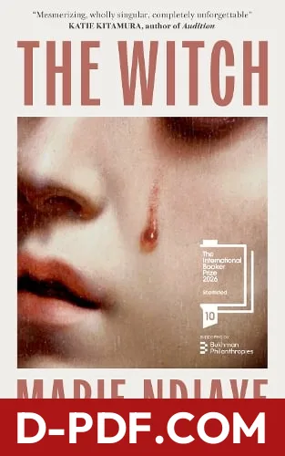 The Witch by Marie NDiaye book cover