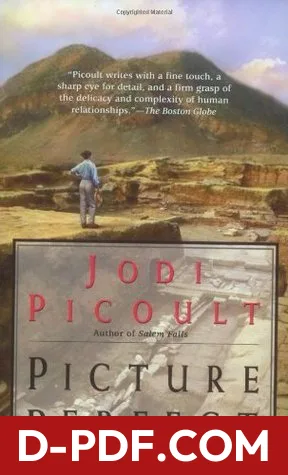 Picture Perfect by Jodi Picoult book cover