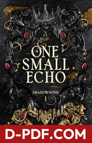 One Small Echo by Jane Washington book cover