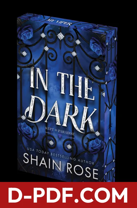 In the Dark by Shain Rose book cover