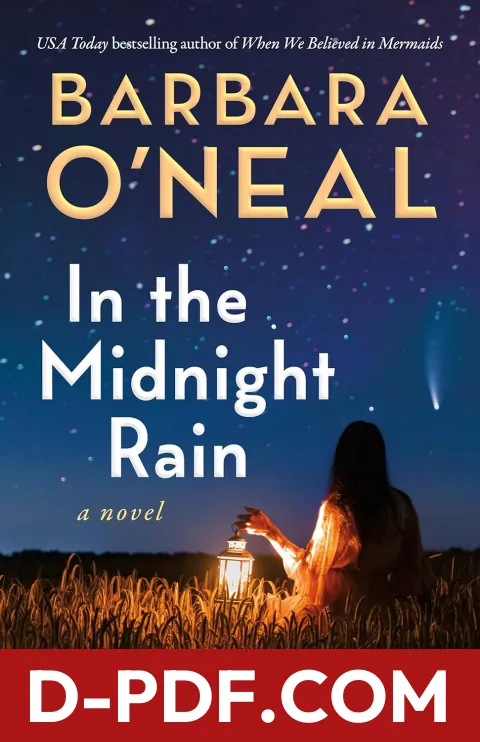 In the Midnight Rain by Barbara O'Neal book cover
