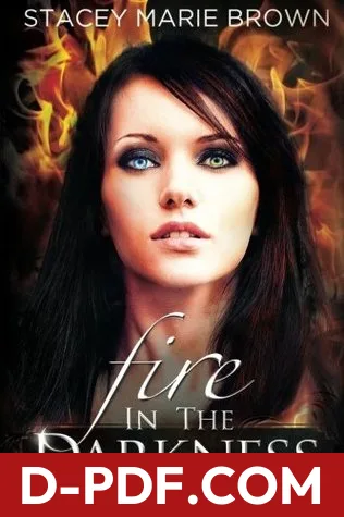 Fire In The Darkness by Stacey Marie Brown book cover